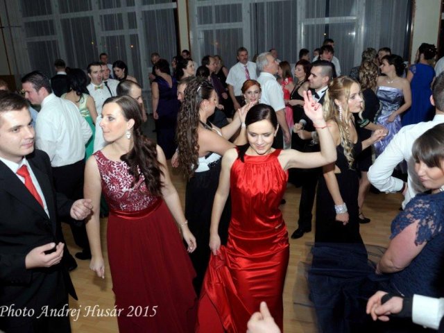 2015_Ples